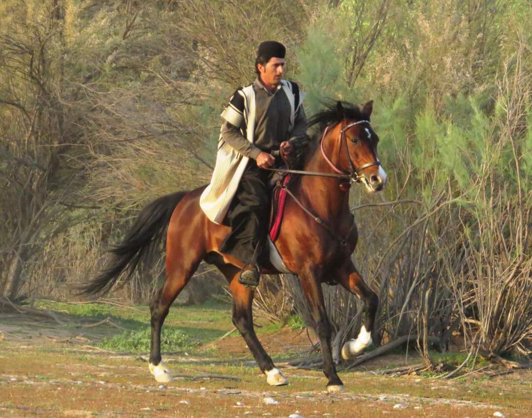 Horse Riding in Iran | Tailor Made Tour | 7 days